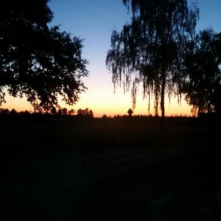 Entspannen & Wohlfuehlen In Der Lueneburger Heide Vierhofen Экстерьер фото